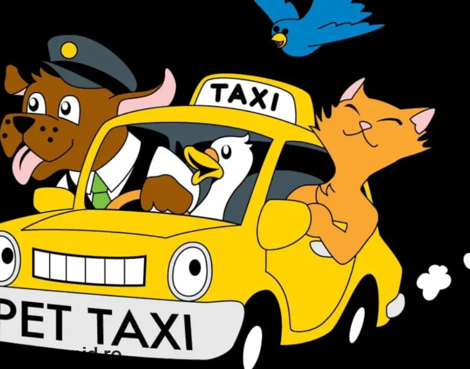 Taxi  pentru animale de companie